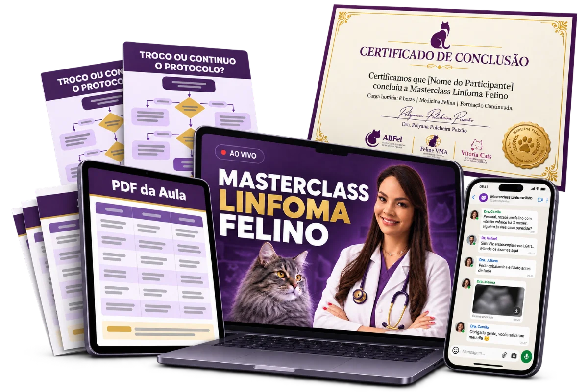Masterclass Linfoma Felino no notebook, tablet e celular, com o PDF, o fluxograma e o certificado